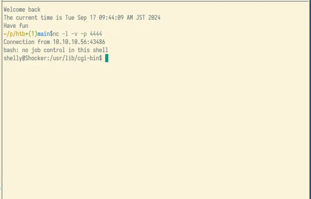 Screenshot of reverse shell spawned